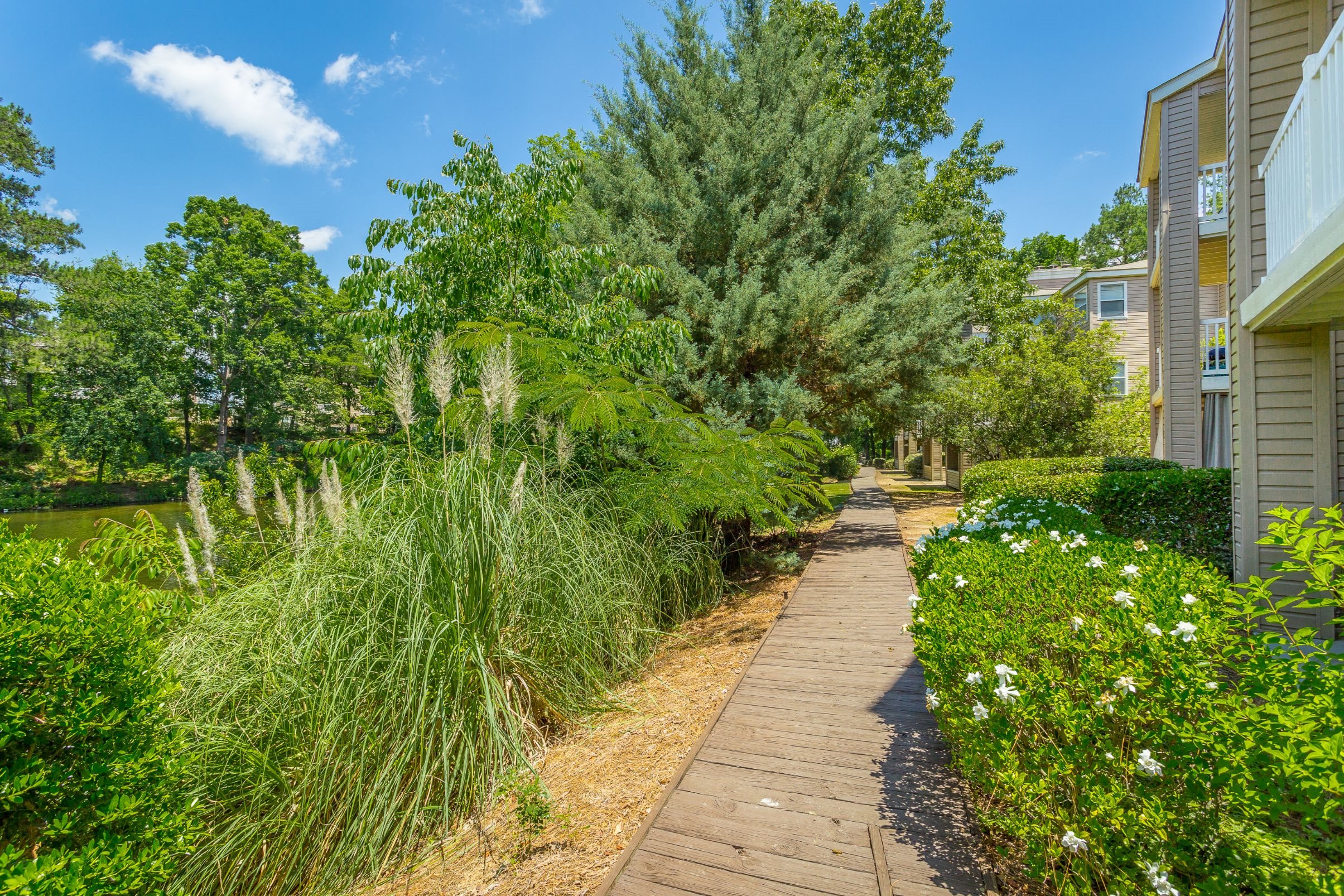 Walking path at The Avenues of Inverness in Birmingham, AL
